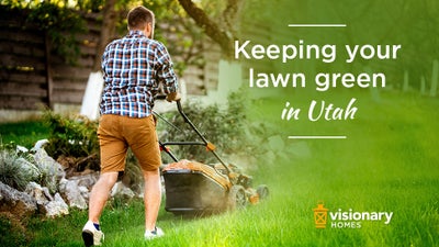 Keeping Your Lawn Green in Utah
