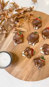 Thankgiving Treat: Chocolate Covered Strawberry Turkeys