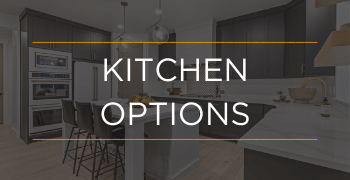 Kitchen Options