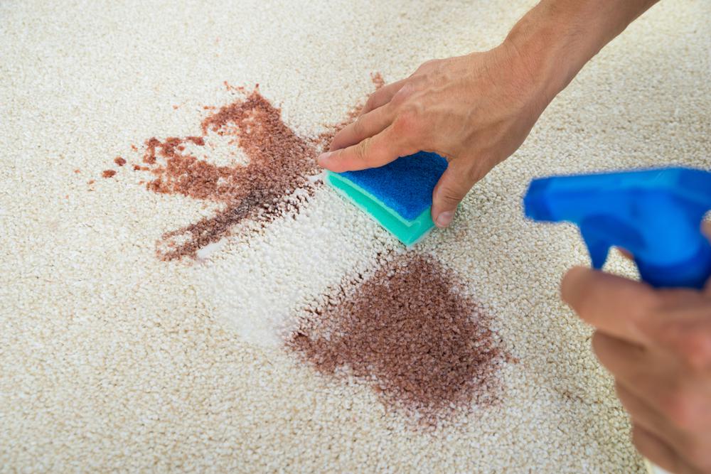 maintain carpet