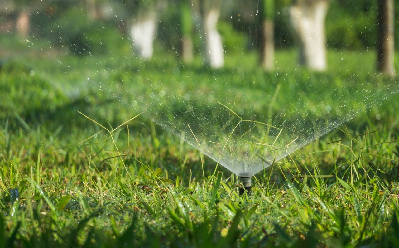 How to Keep Your Lawn Green with Less Water
