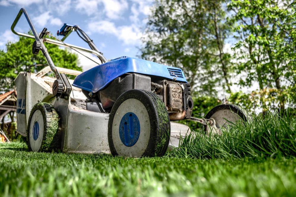 Keep Your Lawn Green with Less Water