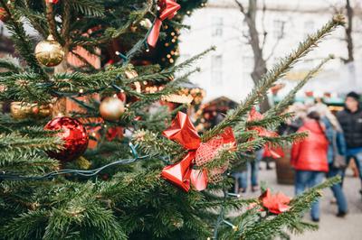 9 Cache Valley Utah Christmas Events For the Whole Family to Enjoy
